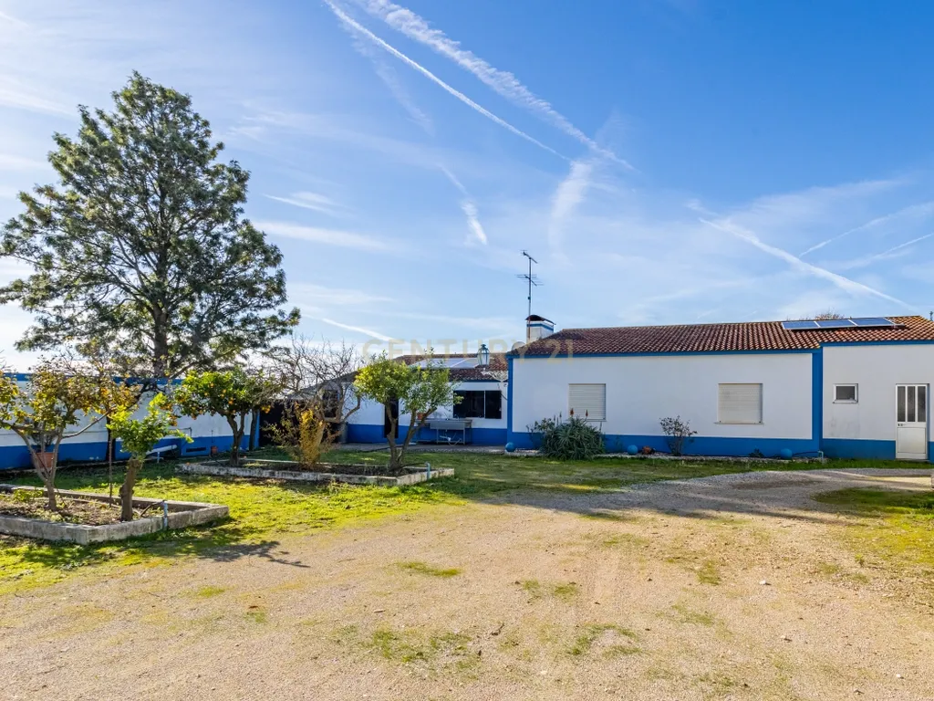 Quinta com 25.800M2 com moradia T6 em Casével, Santarém. - Image 21