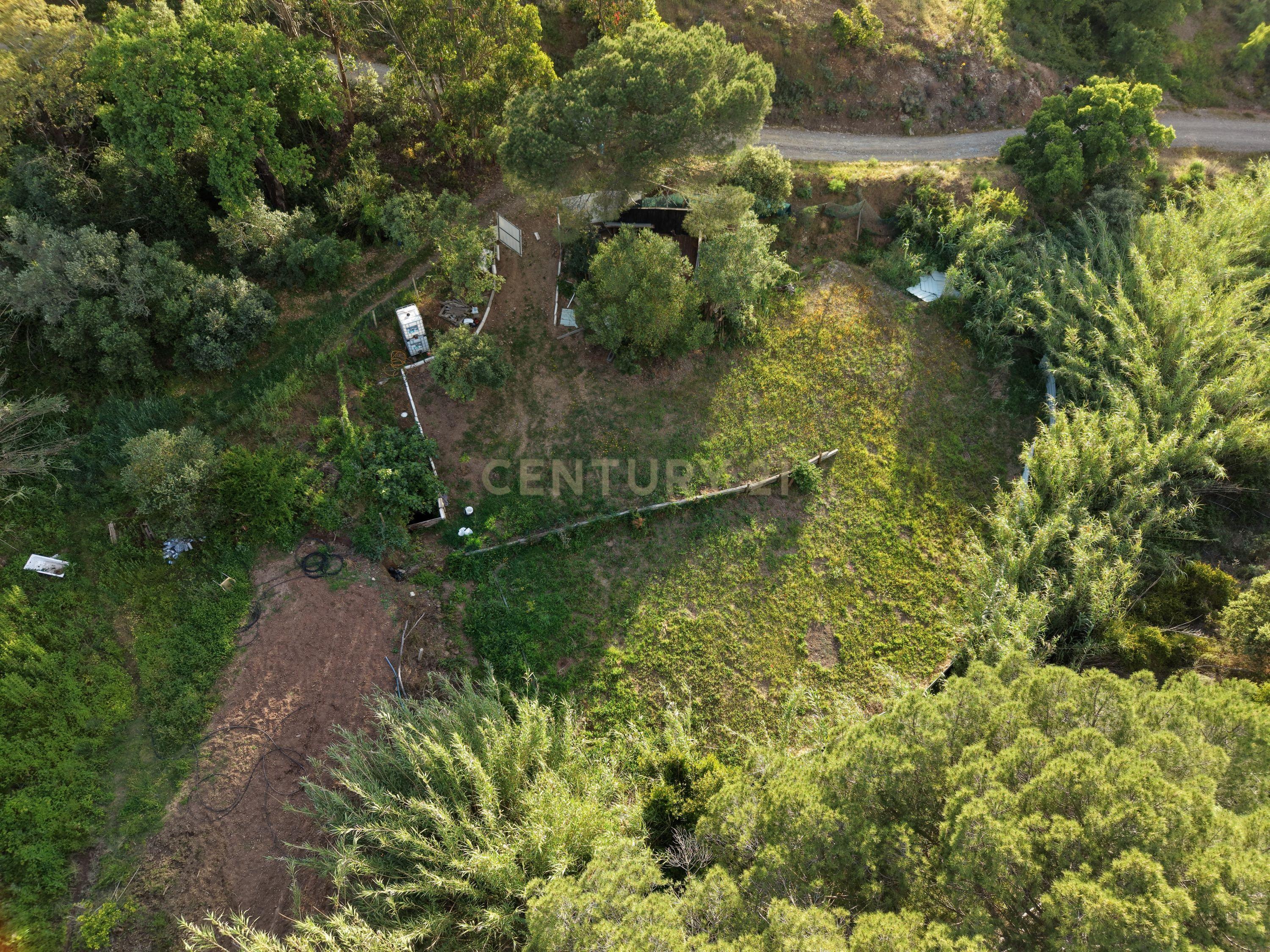Fotografia 6 de Oportunidade, excelente terreno rústico para venda na Tareja.