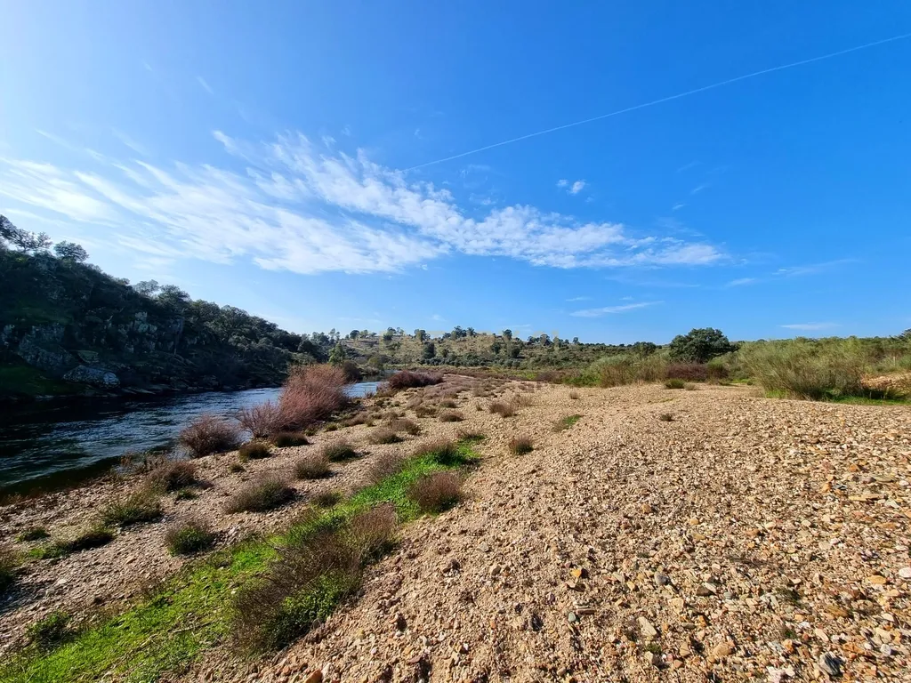 Herdade com Terreno Rústico de 39,7 ha e 1,7 km de Margem de Rio – Fronteira com Espanha - Image 12