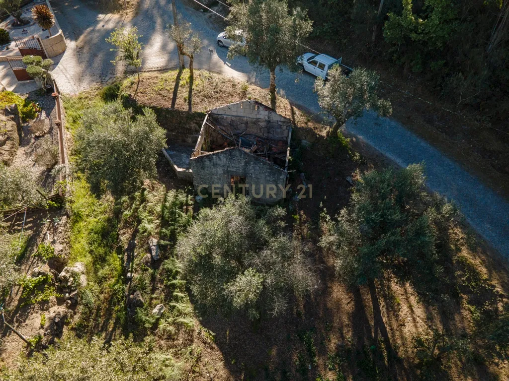 Moradia para reconstrução em Lardosa, Soalhães - Image 7