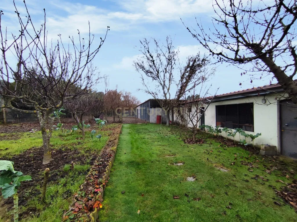 Luxuosa Moradia em Vale de Anta, Chaves - 4 Quartos e Piscina - Image 29