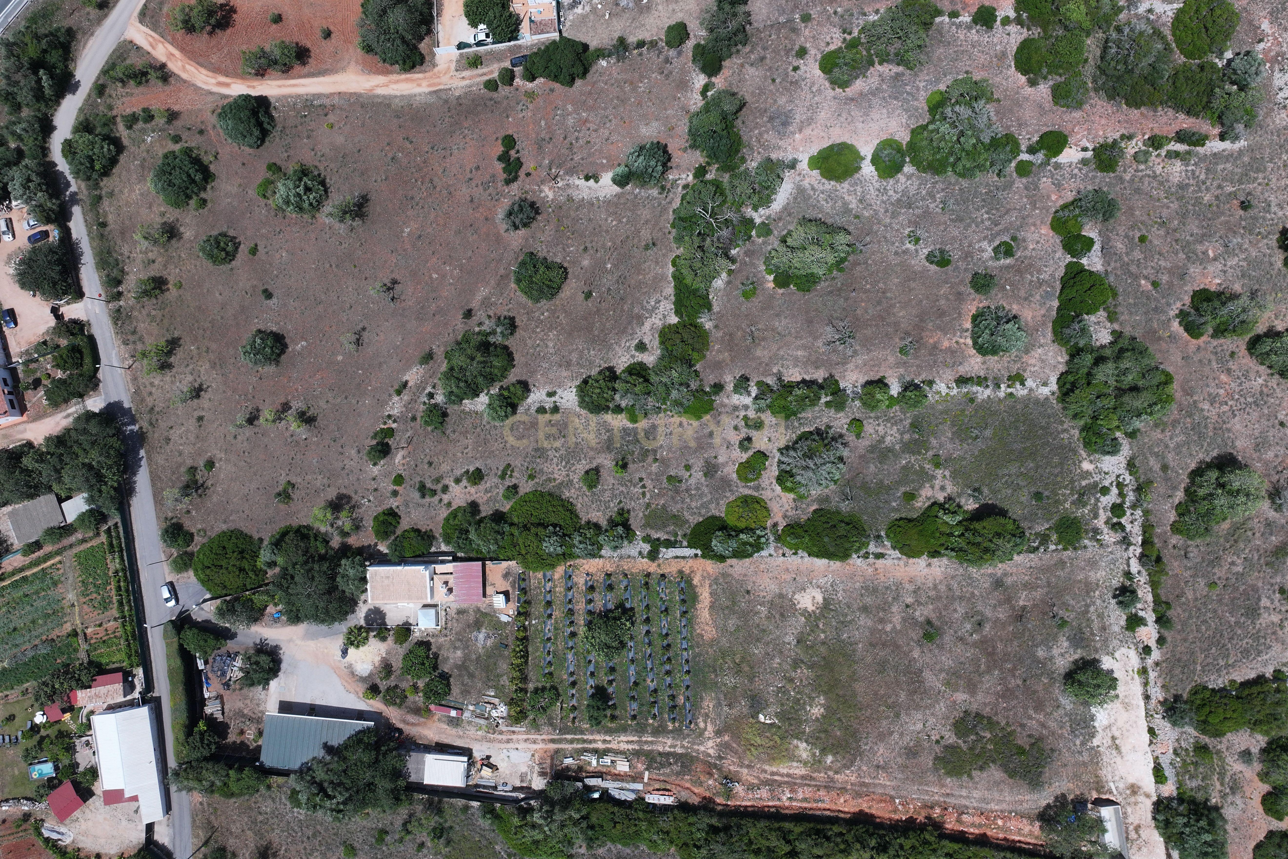 Fotografia 11 de Terreno rústico localizado em Gateiras em Tunes, com uma área total de 14880m².