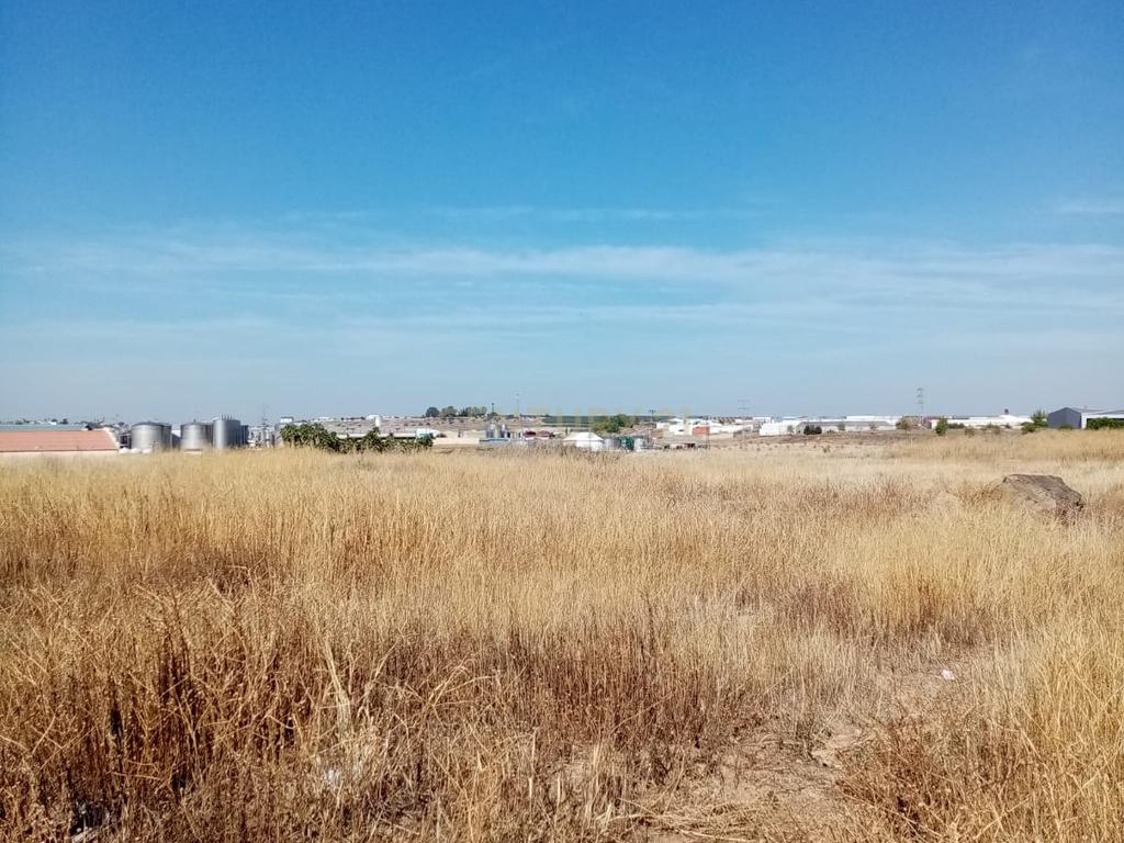 undefined - Image 3