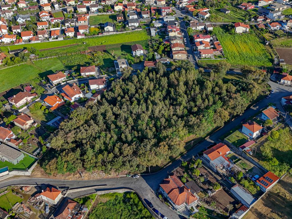 Terreno com 14.000m2  próximo ao Centro de Santo Tirso - Image 2