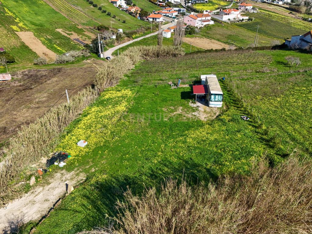Terreno para Construção - Casal da Serpegeira, Ventosa (Torres Vedras) - Image 9