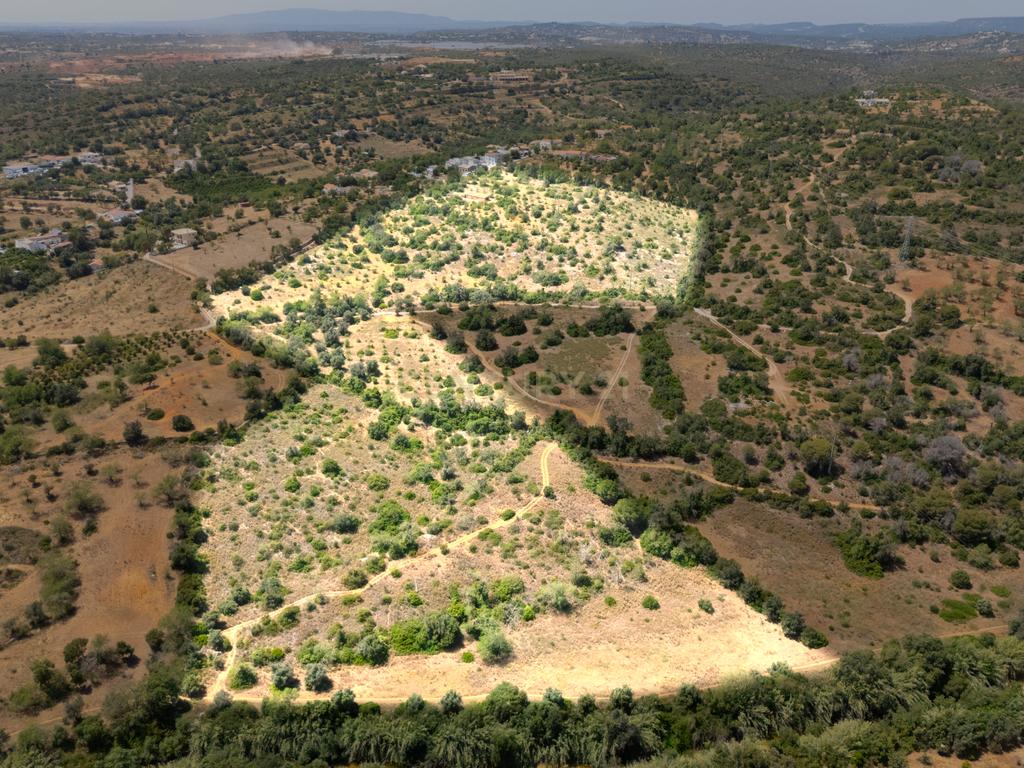 Construir uma Casa de Sonho ou ter um Turismo Rural - Image 5