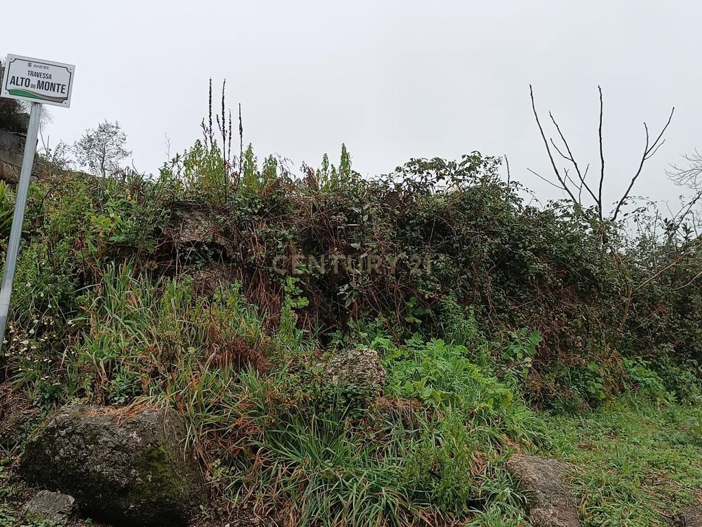 Quinta De Além com casa rústica em ruína para reabilitação total de 2 quartos no centro de Cete, Paredes - Image 65