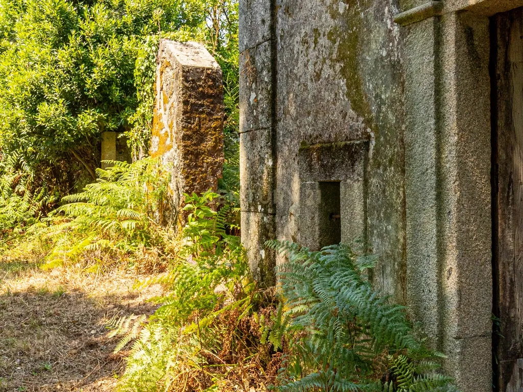 Quinta para reconstrução , em Anais, em Ponte de Lima – a vila mais antiga de Portugal. - Image 36