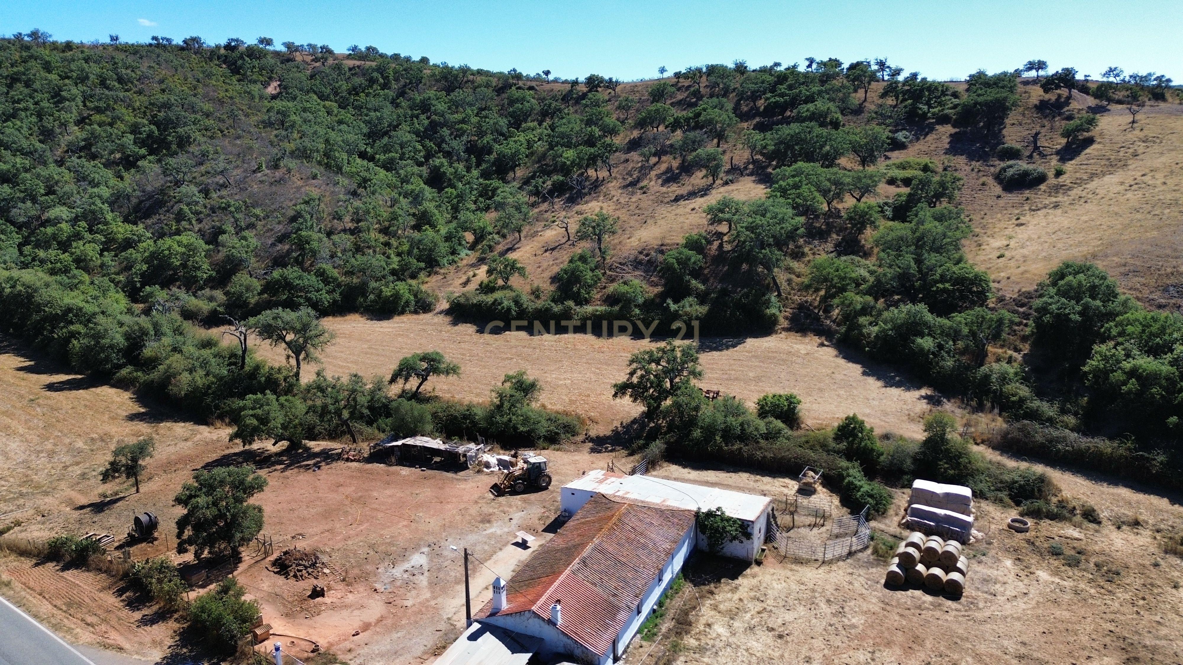 Fotografia 12 de HERDADE COM 193 HECTARES | BOAVISTA DOS PINHEIROS, ODEMIRA