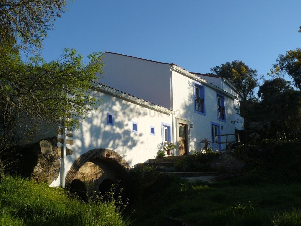 Quinta Típica Alentejana, Licença de Turismo Rural, Arrendamento, Arraiolos - Image 53