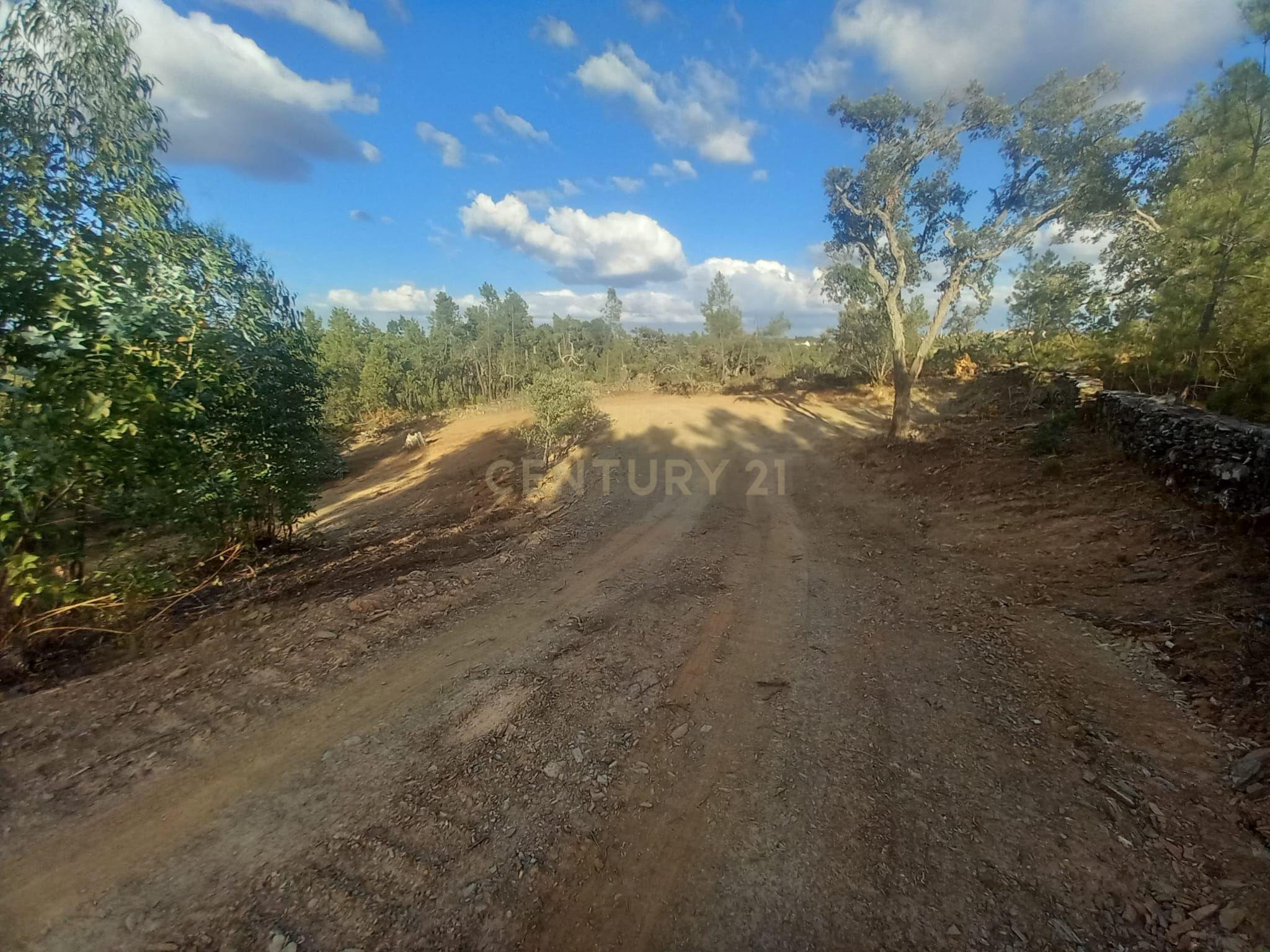 Fotografia 9 de Terreno em Benquerenças, Castelo Branco - 2800m²