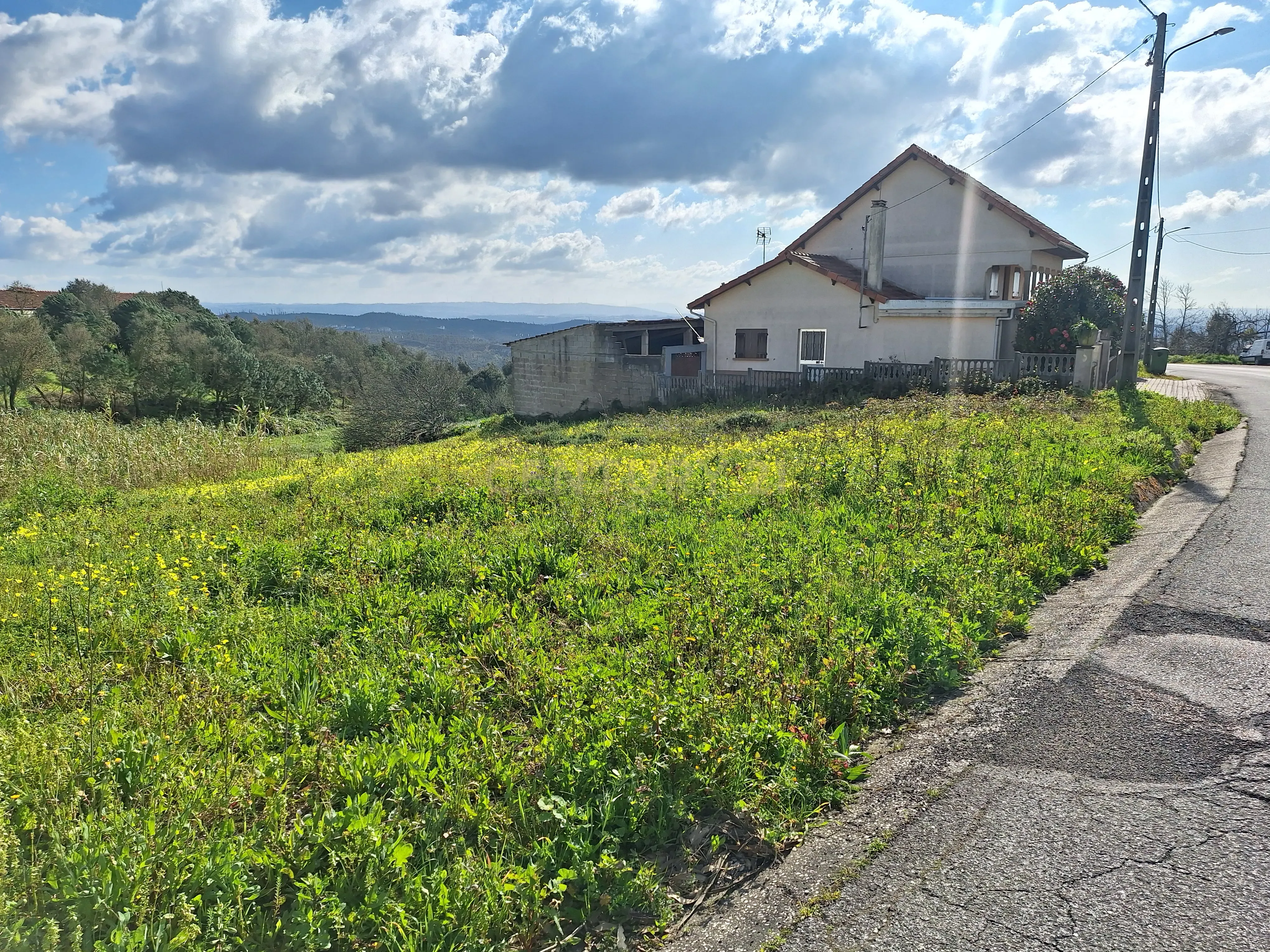 Fotografia 3 de Excelente terreno para construção, em Colmeias Serra do Branco!