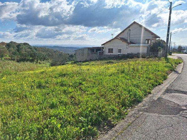 Vista 3
