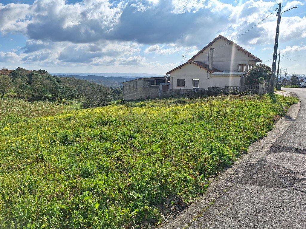 Vista 3