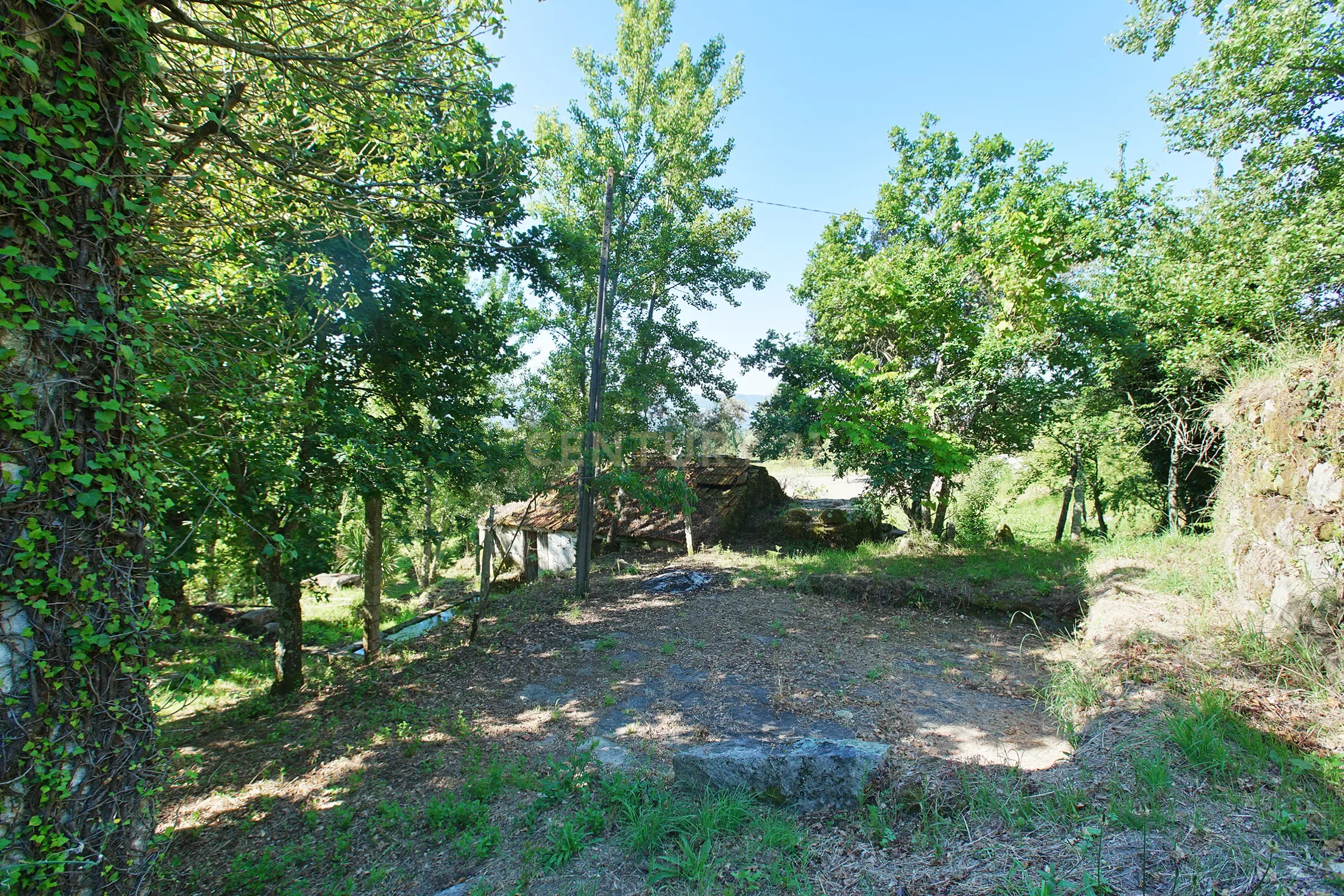 Quinta com 2 casas para restauro em Sande Marco de Canaveses - Image 11