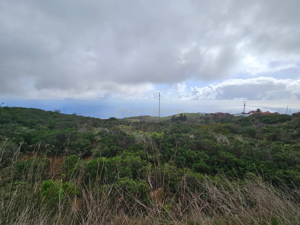 undefined - Image 10