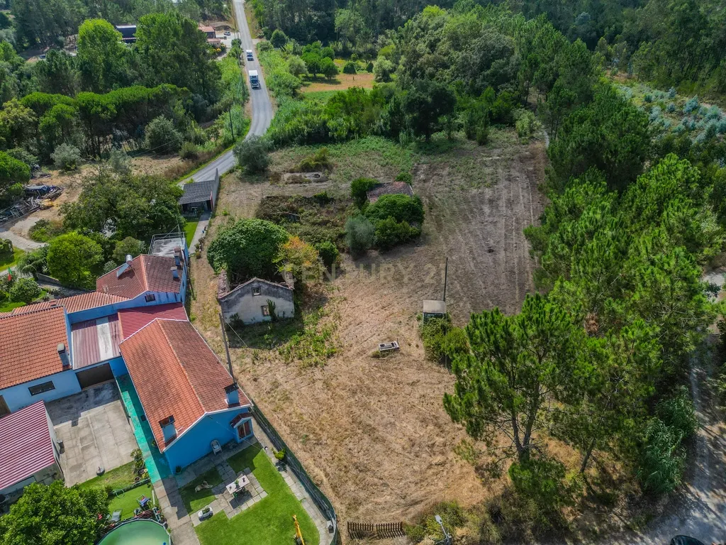 Propriedade com duas casas para reabilitar, terreno e poço na Costeira – Figueira da Foz - Image 10