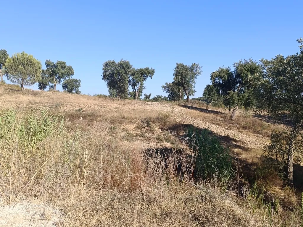 Terreno com Grande Potencial - Image 3
