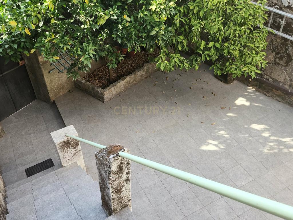 Moradia em Pedra com Terraço e Logradouro — Escalos de Baixo - Image 14
