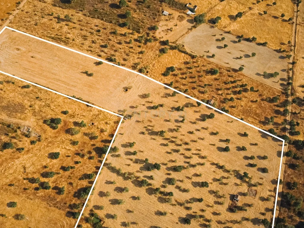Propriedade rústica com potencial agrícola, habitacional e turístico – 3,12 hectares – Nisa - Image 7