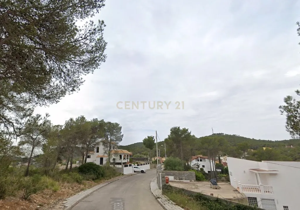 - Image 6