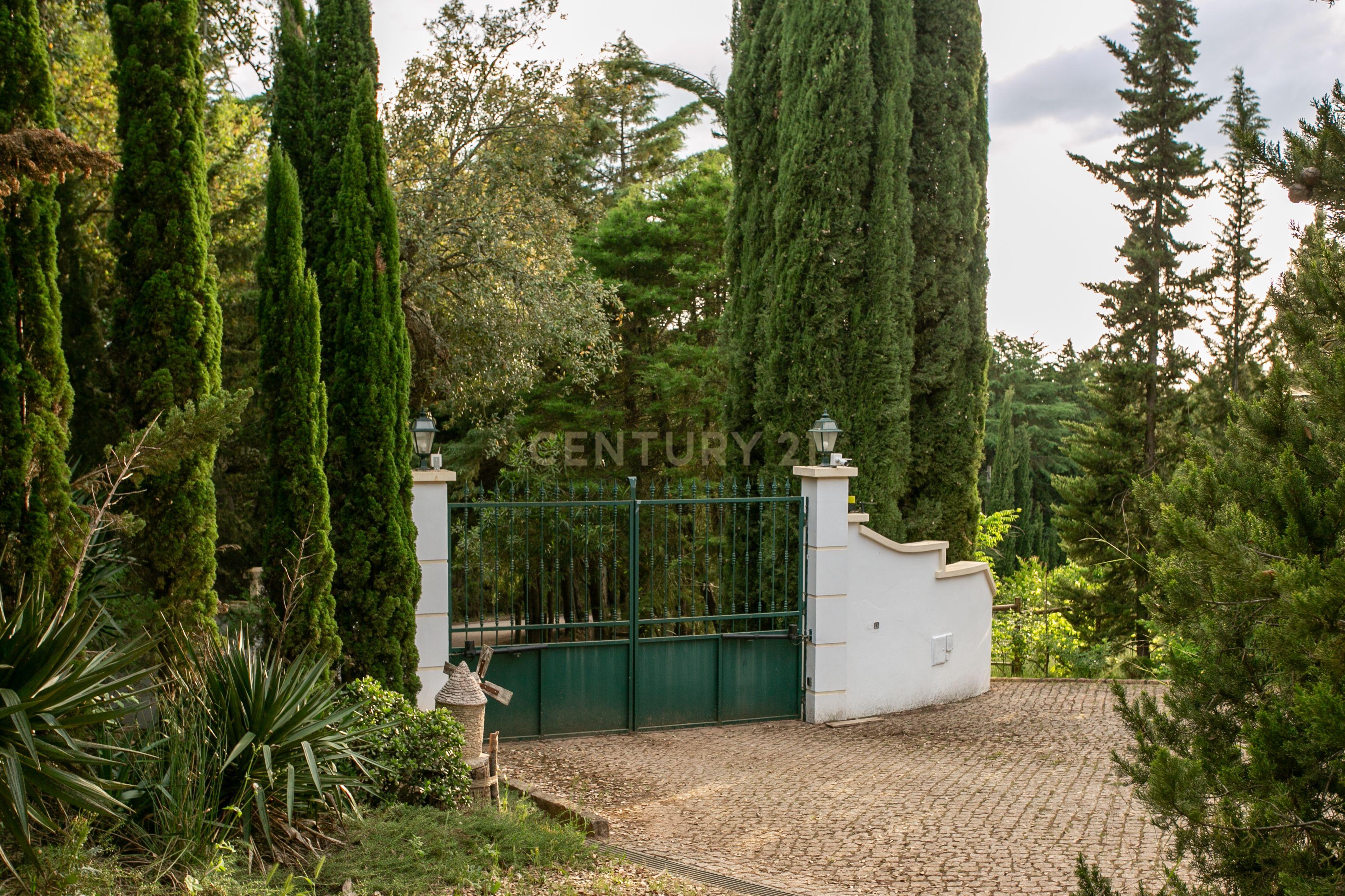 Fotografia 8 de Monte Novo da Marinela – Exclusividade e Tranquilidade no Coração do Alentejo