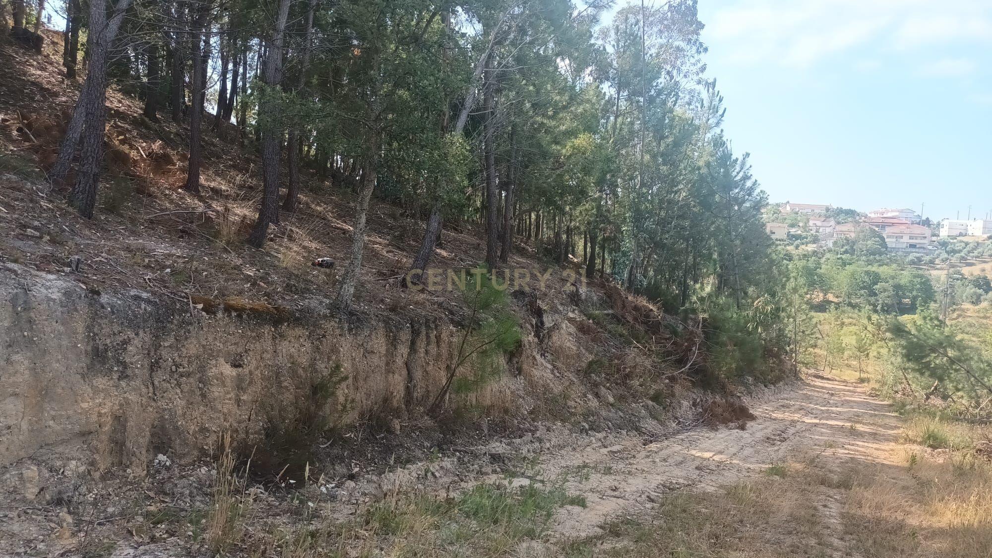 Fotografia 4 de Terreno Urbano para construção no  Arrabal , 1.850m2