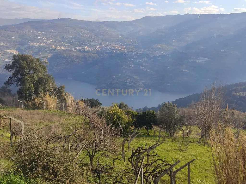 Terreno com casinha e vista para o rio Douro, em S. Tomé de Covelas, Baião para projeto agrícola - Image 84