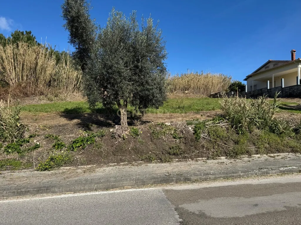Terreno Panorâmico em Pombal - 1020m² por 34.500€ - Image 9