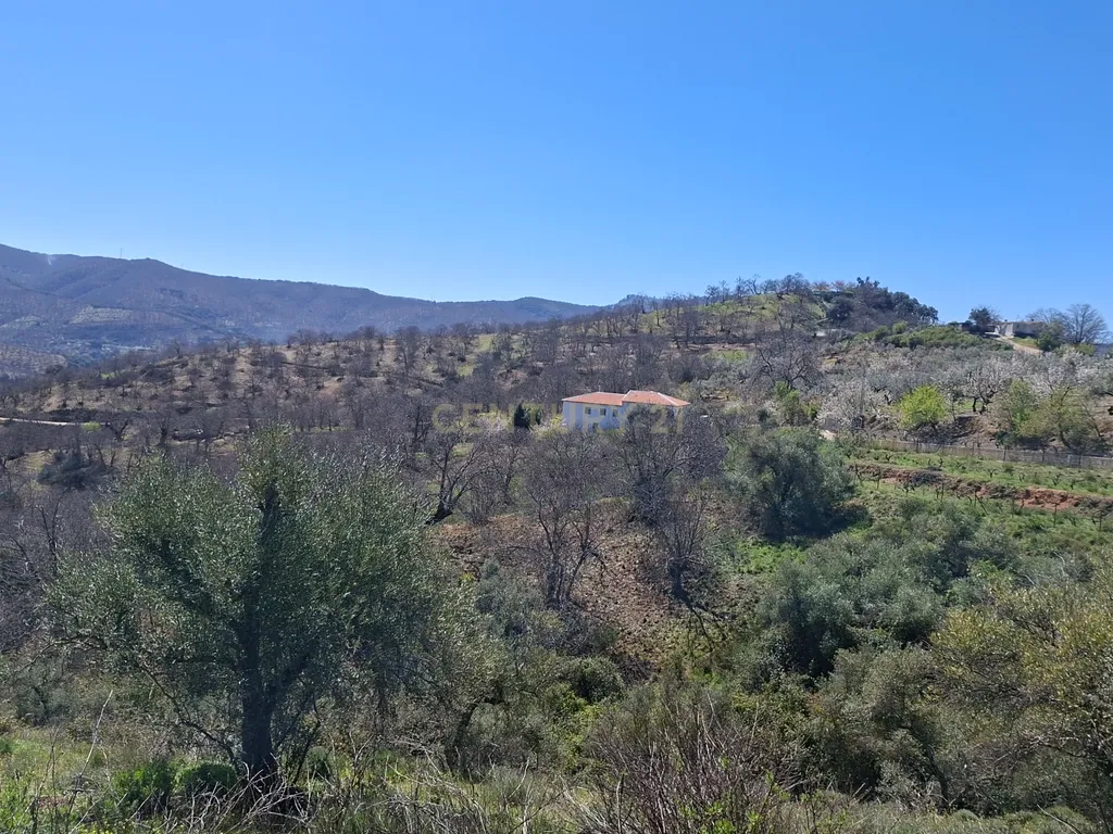 Moradia geminada de gaveto, com orientação sul, vistas para a montanha e duas propriedades rústicas com oliveiras, vinhas e castanheiros, no coração do Alto Genal. - Image 19