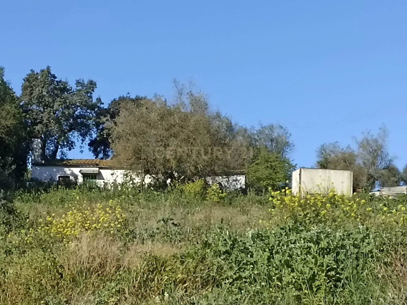 # Terreno Rustico em pleno centro de Montemor -o -Novo - Image 11