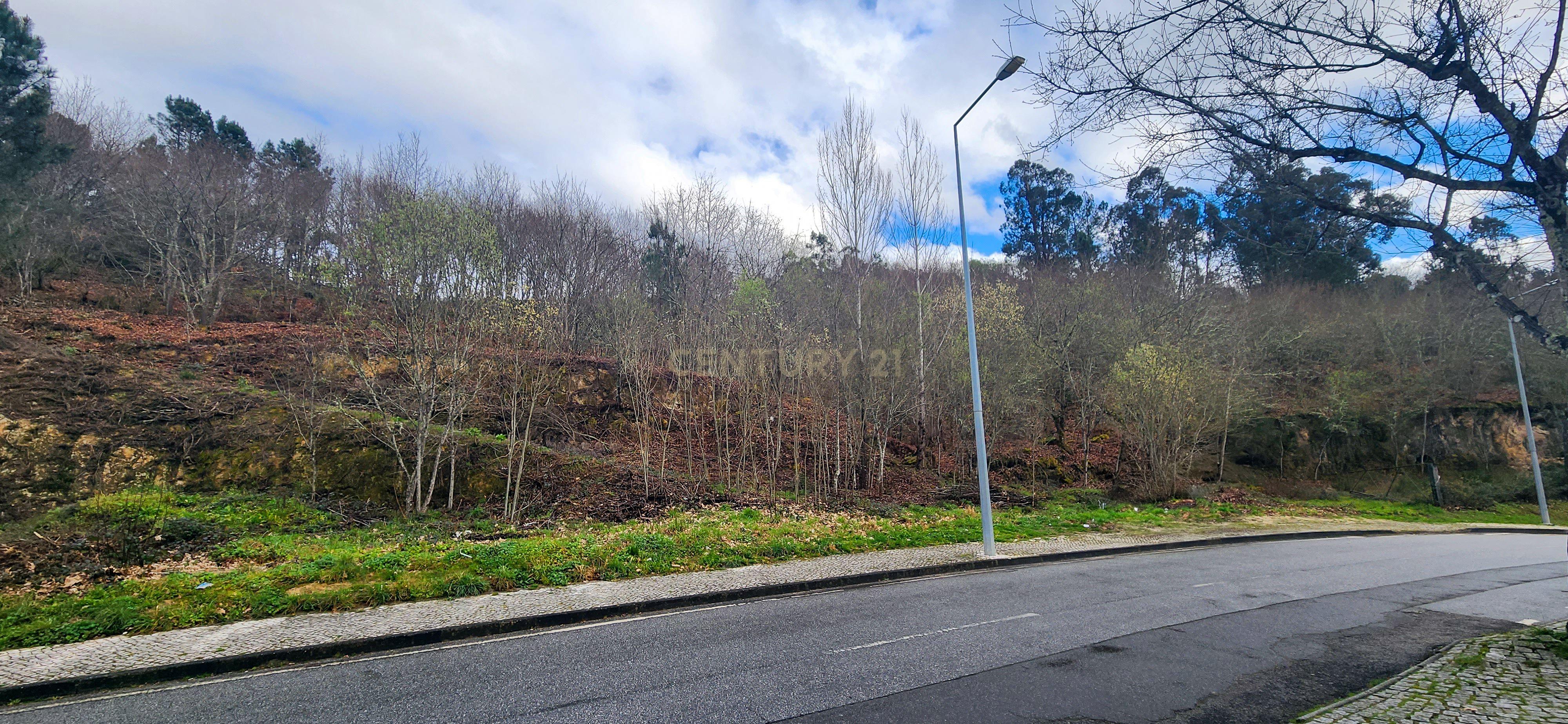 Terreno Urbano em São Pedro do Sul - Image 9