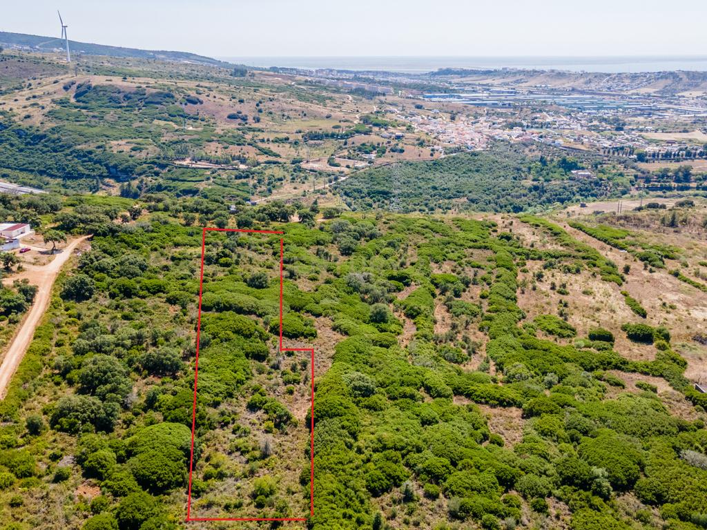 Terreno - Image 8