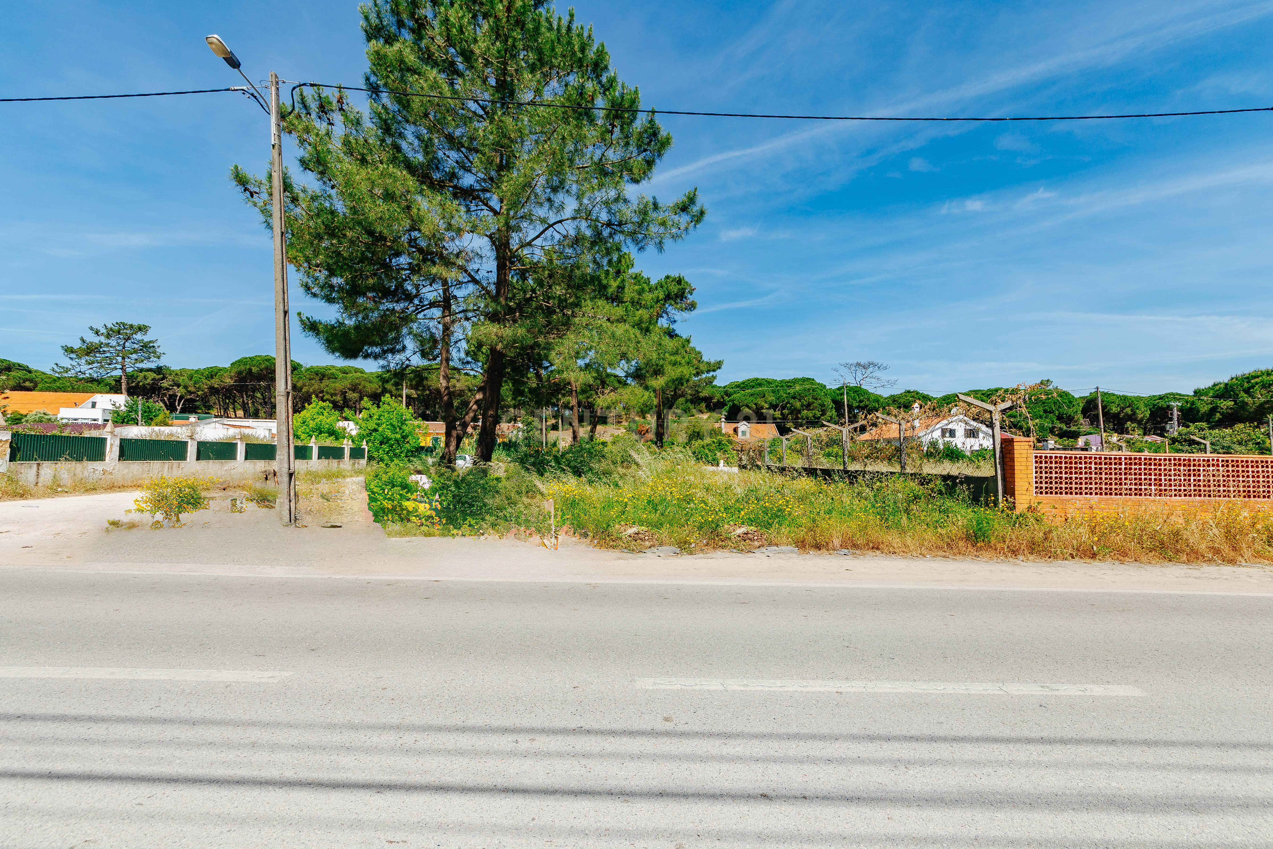 Fotografia 3 de Terreno Urbano na Charneca de Caparica | Pinhal da Aroeira