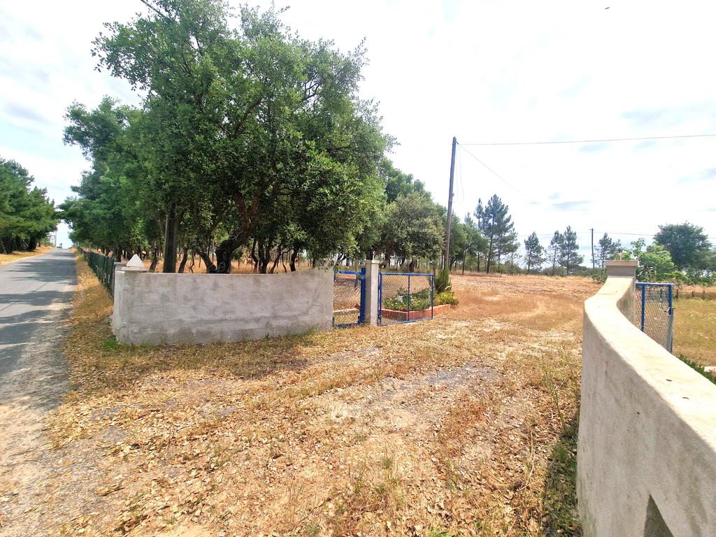 Monte/Terreno em Santiago do Cacém, com Vista Campestre e Árvores Frutíferas - Image 35