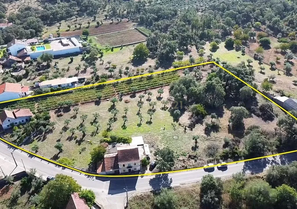 Duas moradias em Avecasta Ferreira do Zêzere - Image 1