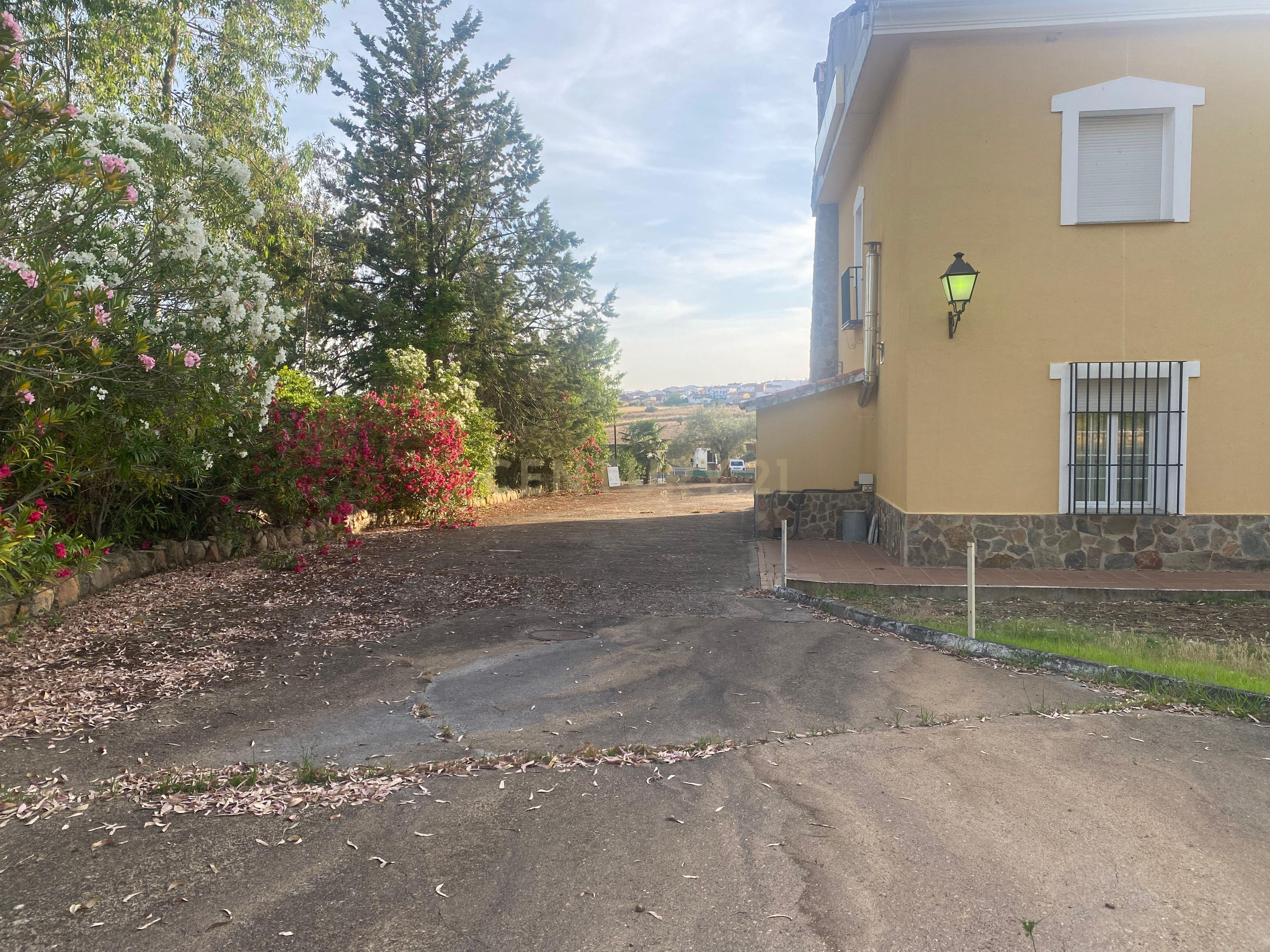 undefined - Image 11
