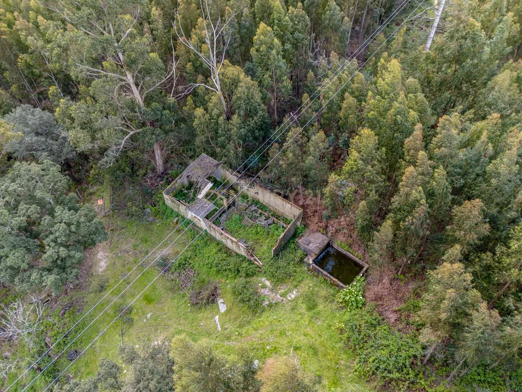 QUINTA COM 2,5 HECTARES EM ZONA CENTRAL DE MONCHIQUE - Image 43