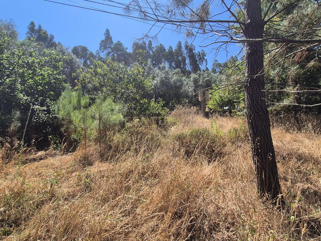 Terreno para Construção em Pombal, Leiria - Oportunidade Única! - Image 11
