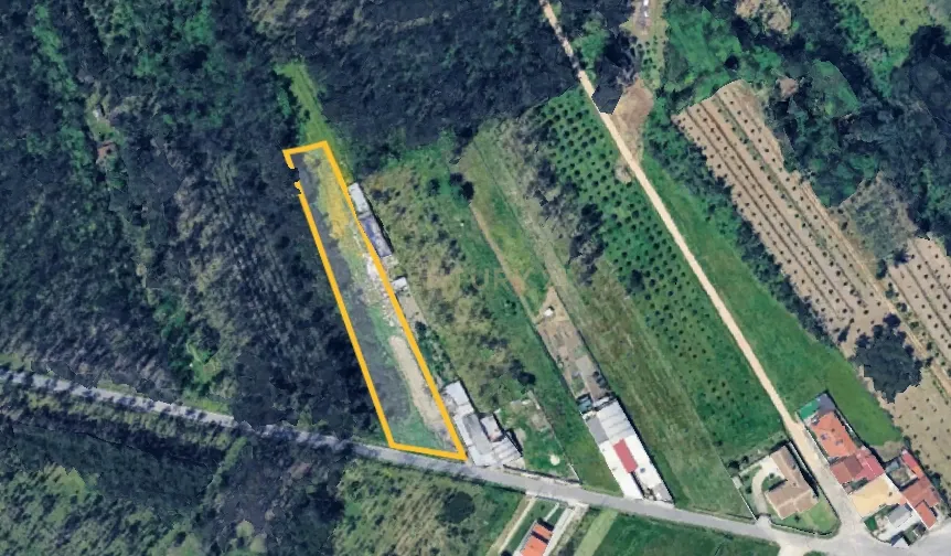 Terreno Agroflorestal em Oliveira do Bairro - Image 2