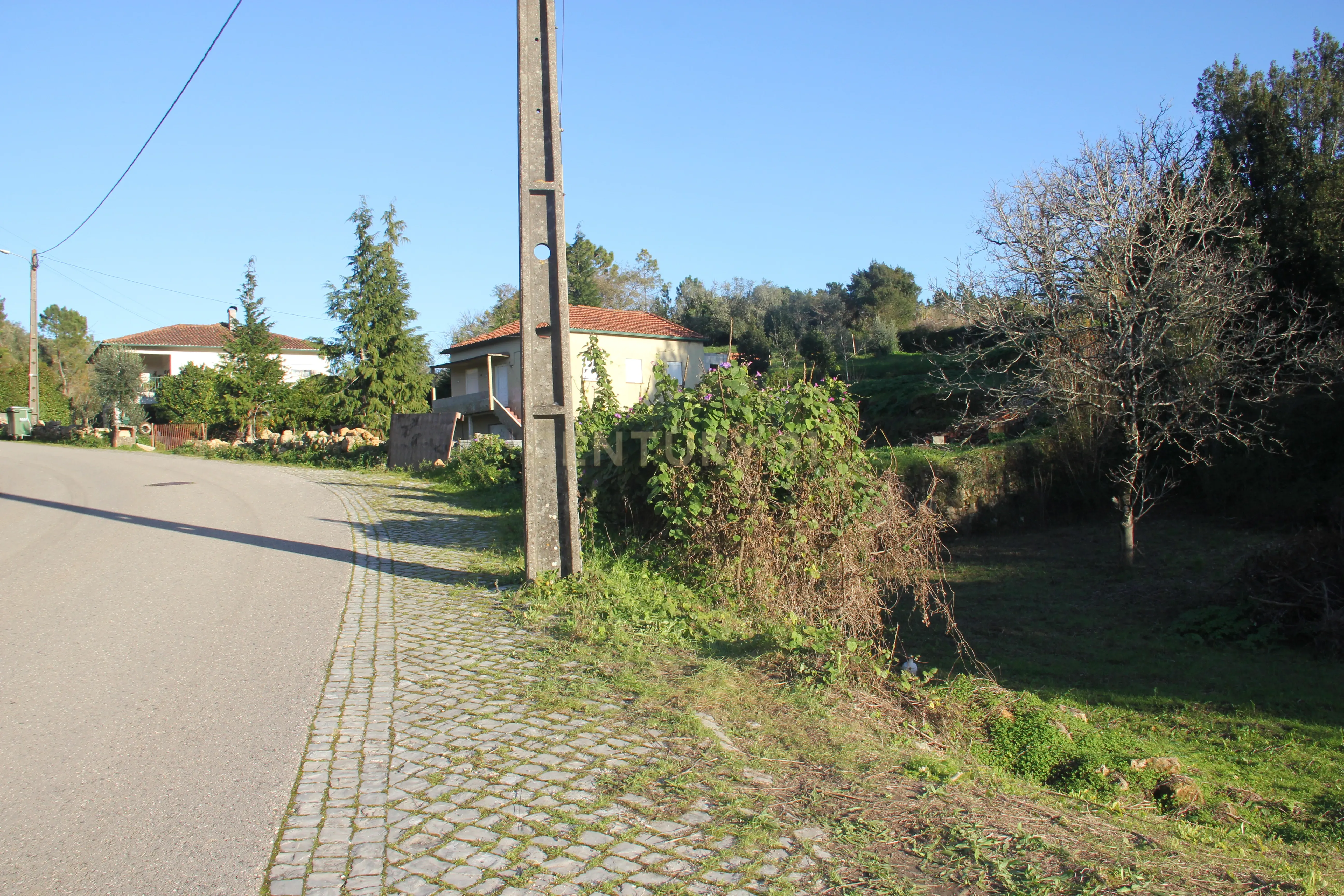 Fantástico terreno para moradia - Image 1