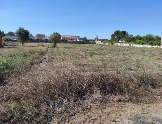 Terreno no Casal Galego, Marinha Grande - Image 10