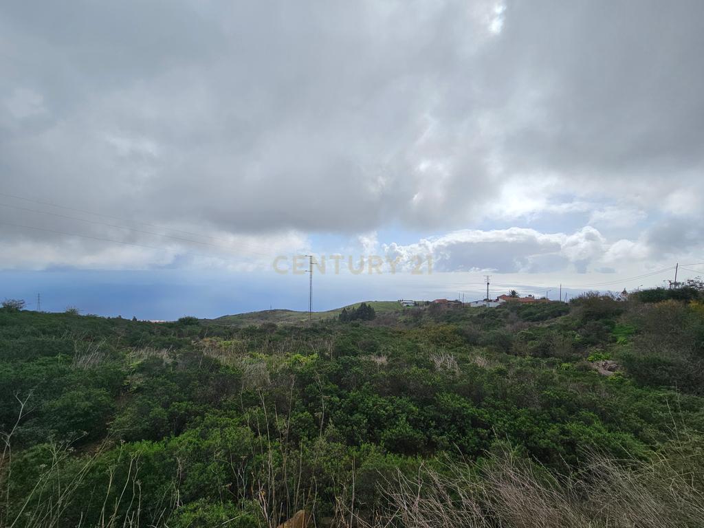 undefined - Image 8