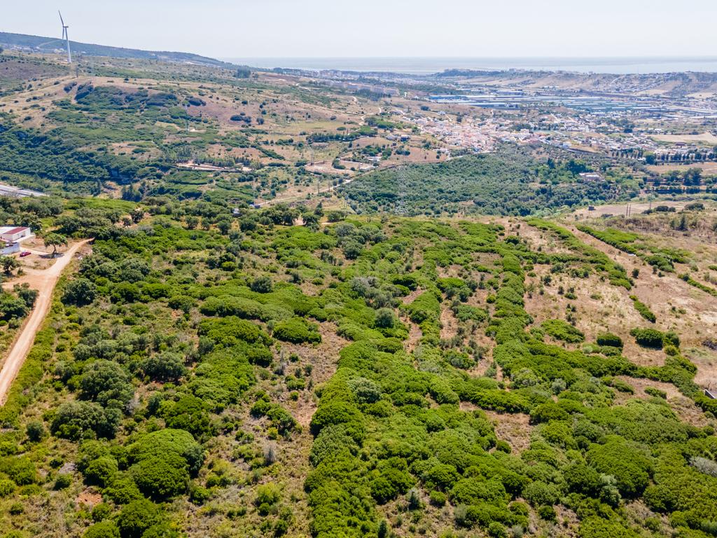 Terreno - Image 6