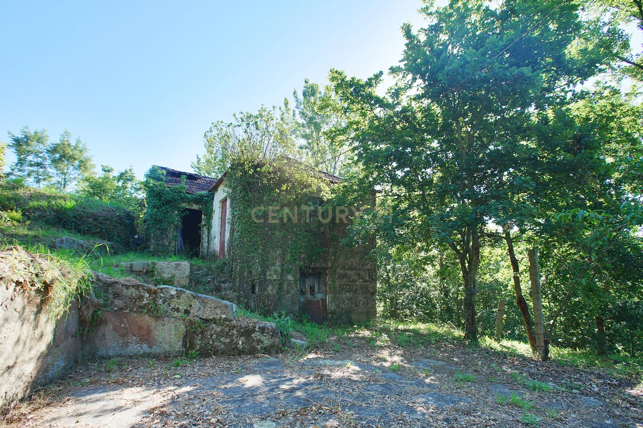 Quinta com 2 casas para restauro em Sande Marco de Canaveses - Image 10