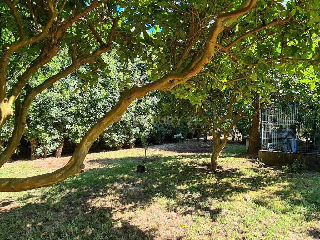  Country House em São Miguel, Açores: Refúgio Privado de Charme com piscina e quinta - Image 84