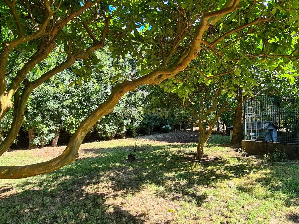 Country House em São Miguel, Açores: Refúgio Privado de Charme com piscina e quinta - Image 84