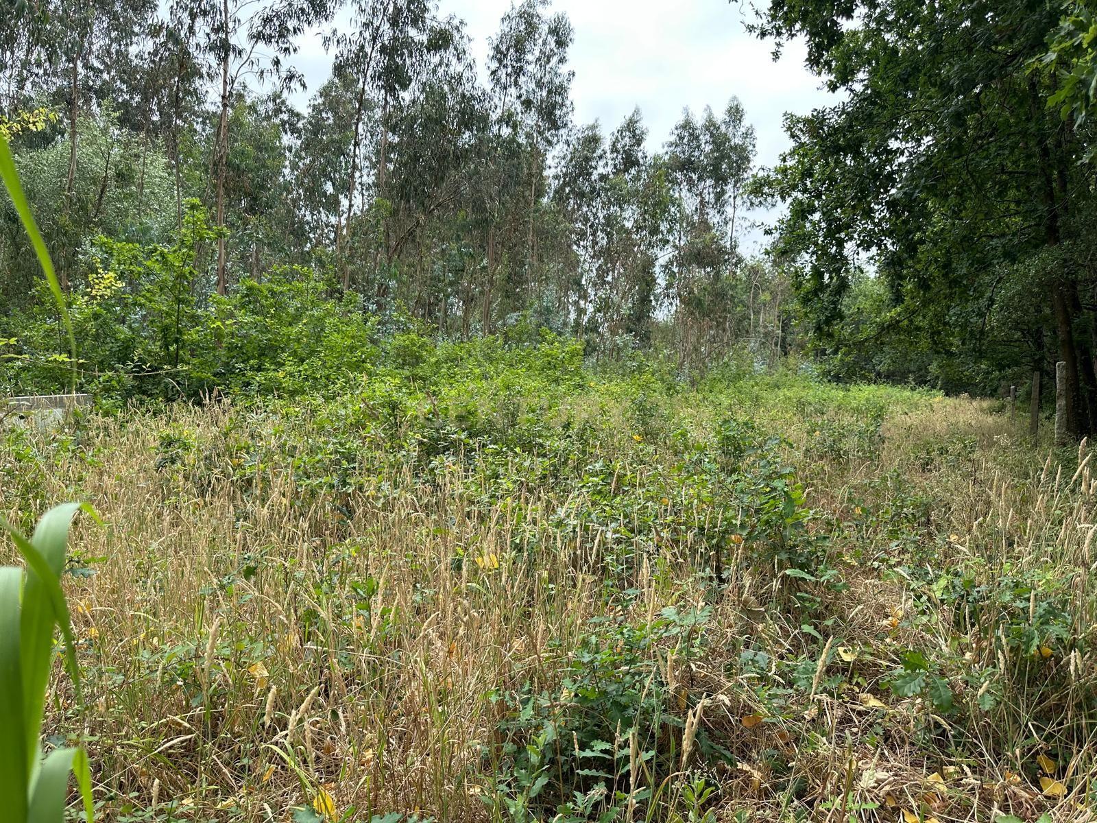 Fotografia 10 de Terreno Urbano com Projeto de Construção Aprovado em Barrô, Águeda - 1018m² para Construção