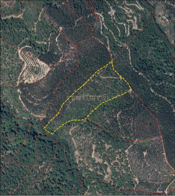 Terreno com construção rural - Marmelete. - Image 1