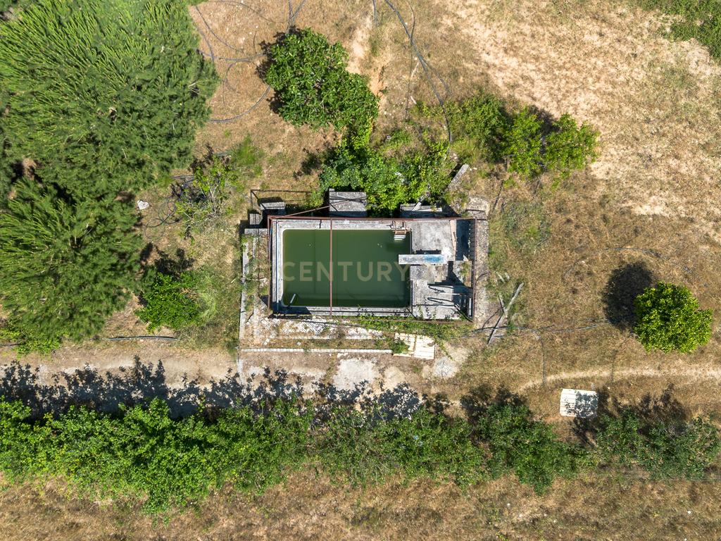 Terreno rústico agrícola, em Pessolhos, Setúbal - Image 3